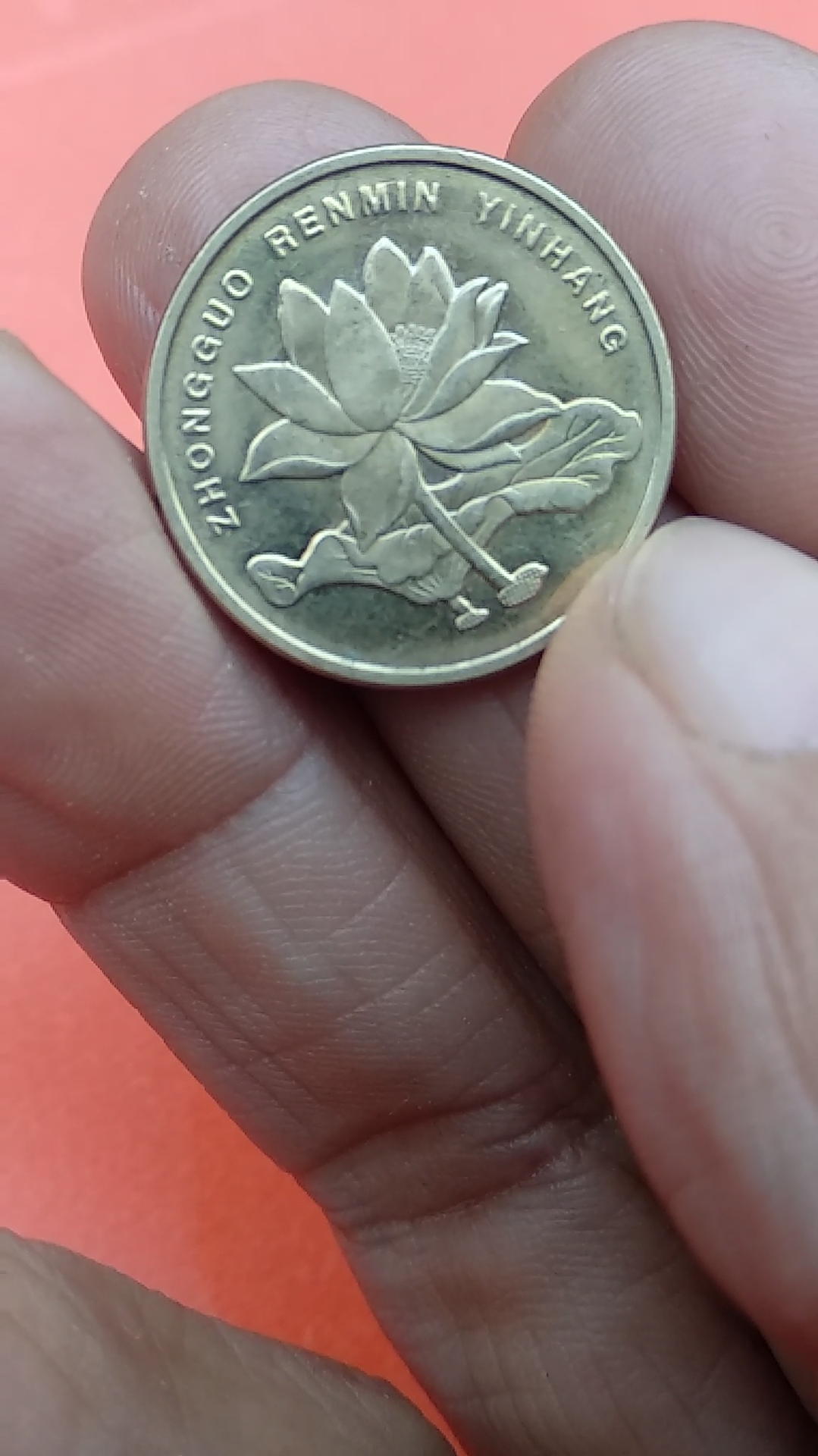 荷花硬币