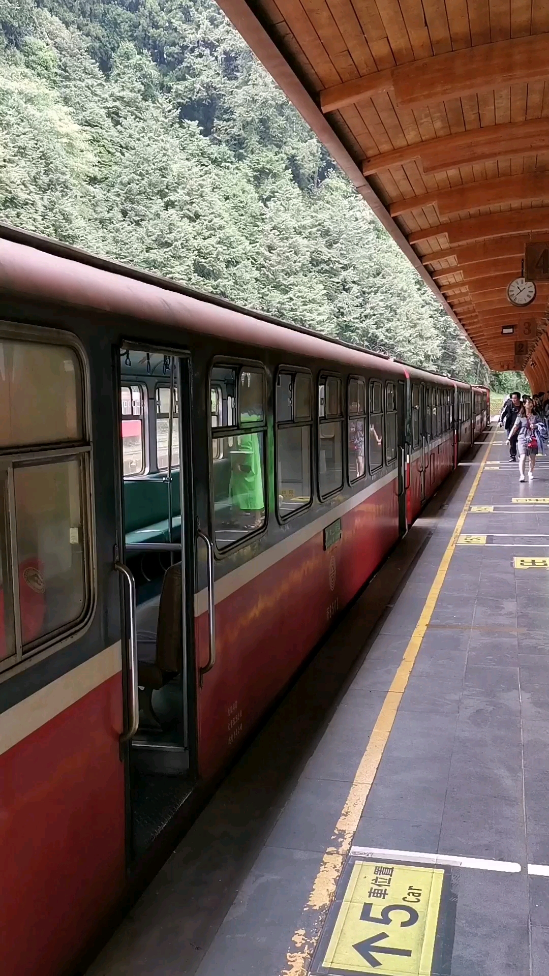 阿里山神木火车站,您一定要来体验一下!