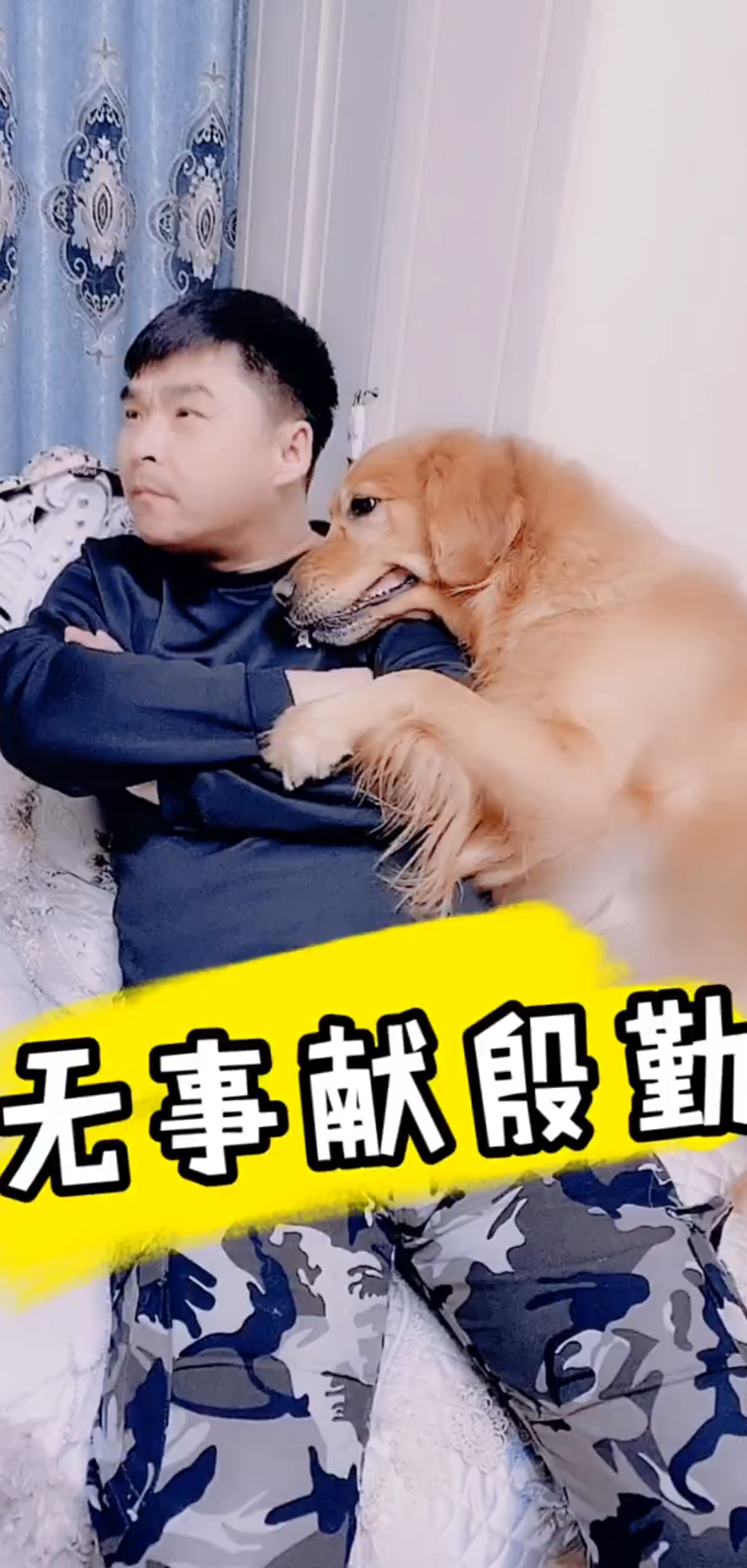 金毛无事献殷勤,必有所求!