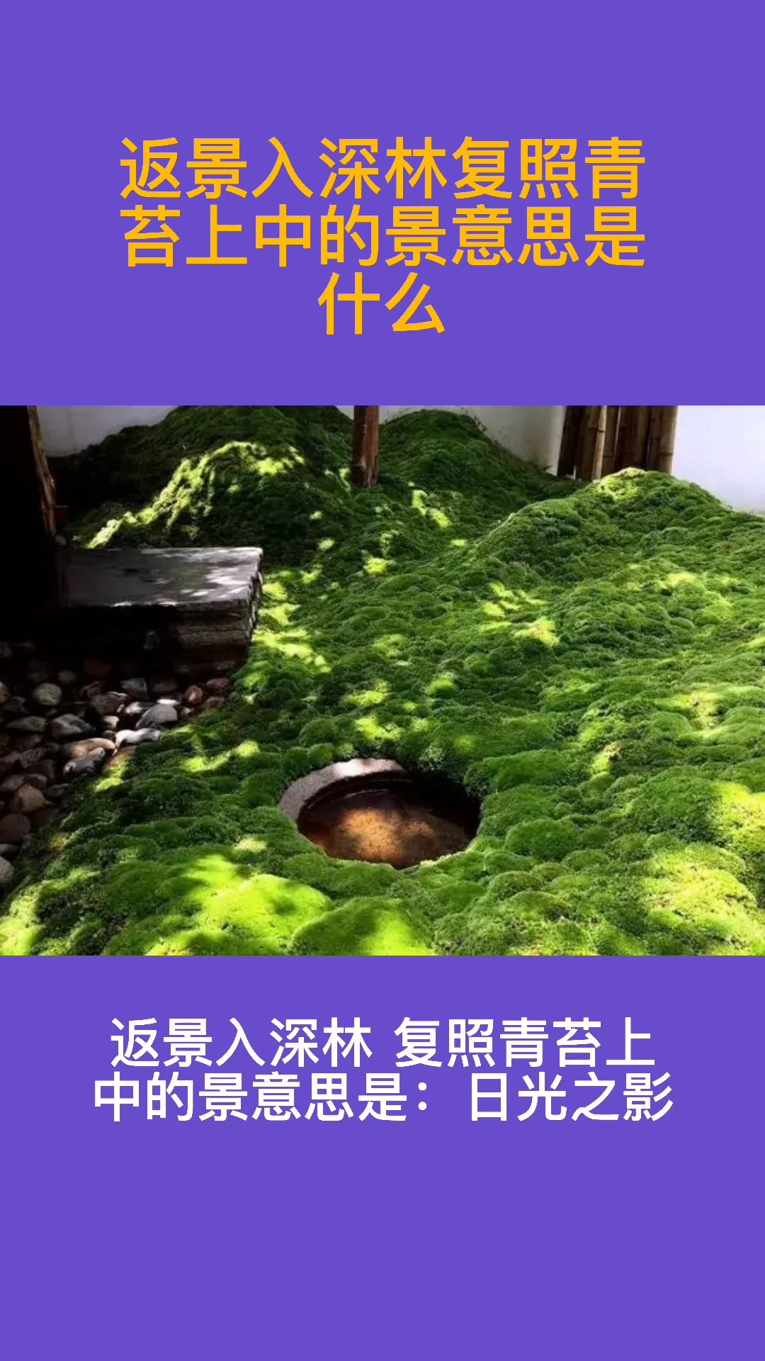 返景入深林复照青苔上中的景意思是什么