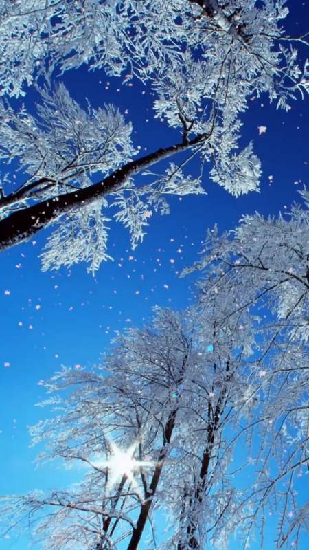 大自然美景#冬天最期待的事,就是看下雪