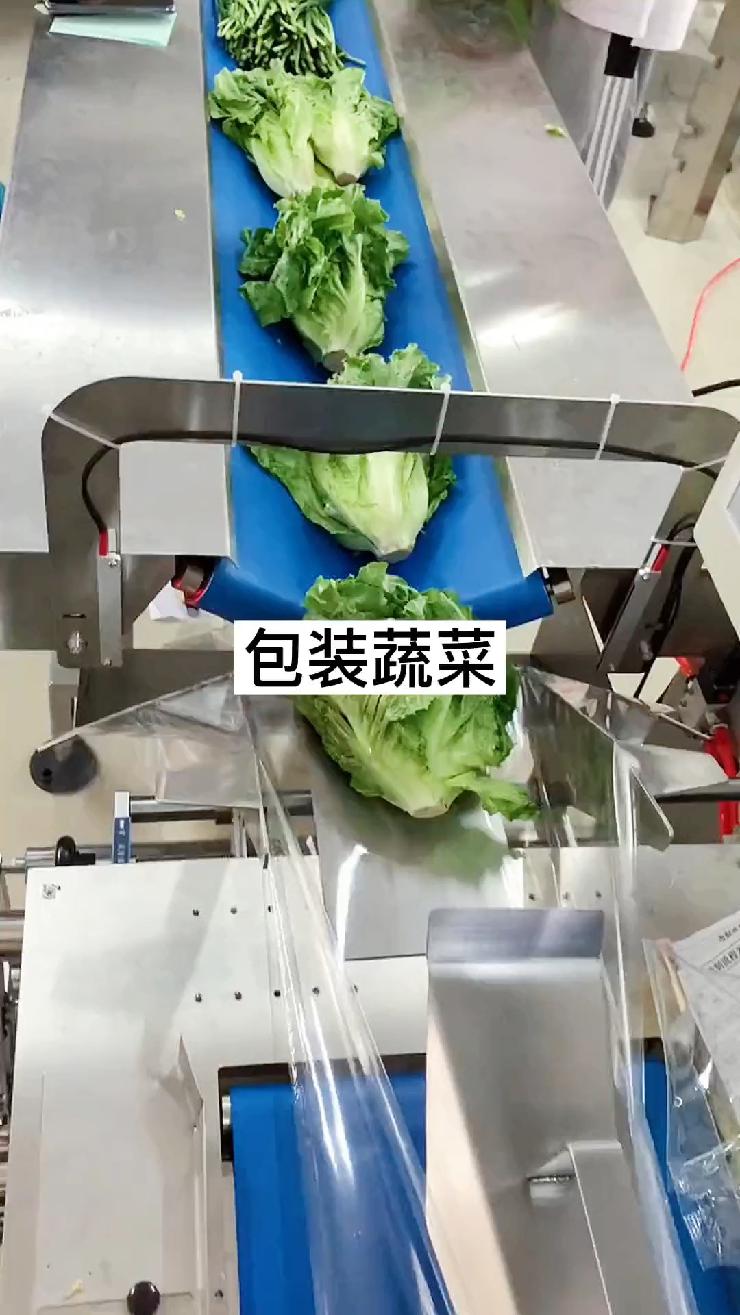 生菜自动包装机 蔬菜瓜果包装机
