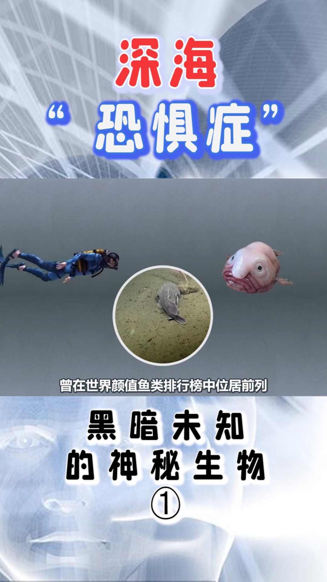 奇趣深海恐惧症黑暗未知的神秘生物1