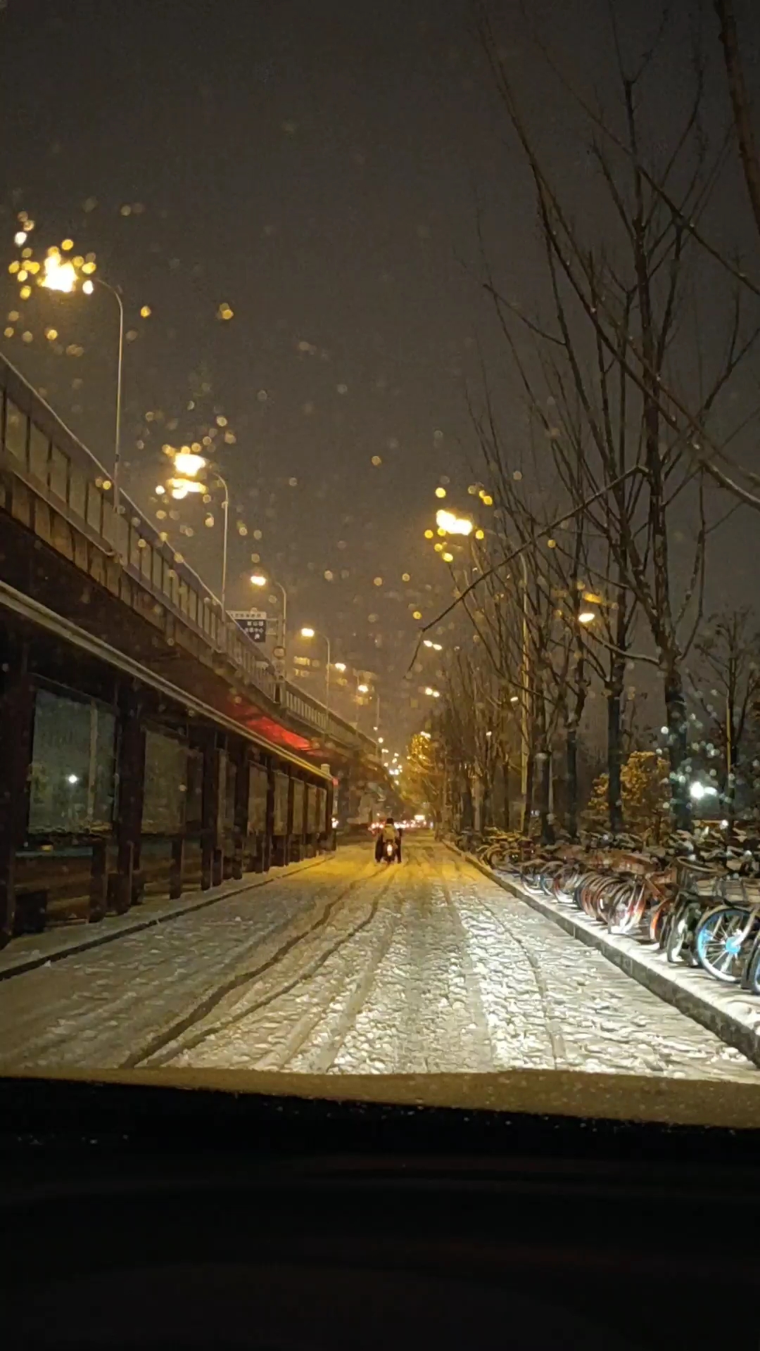 雪夜漫步图片