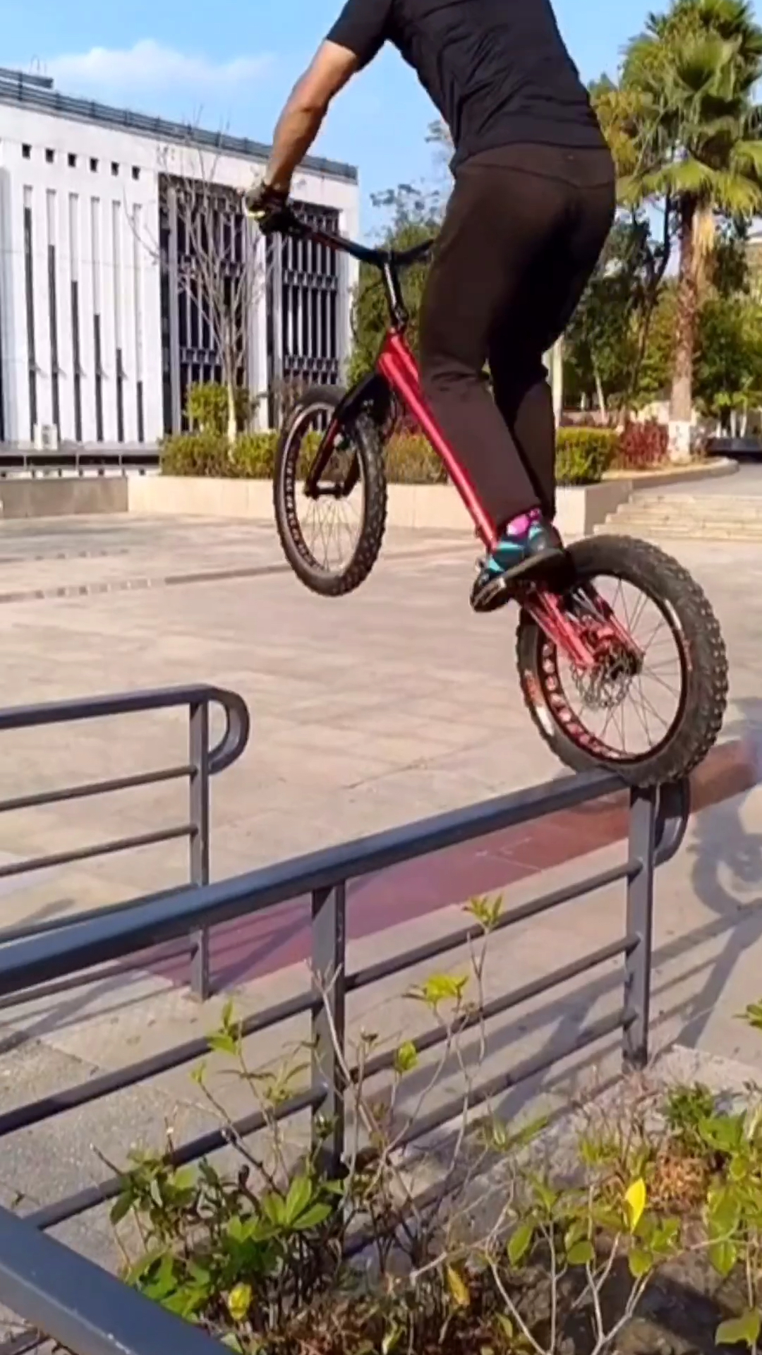 跳这个栏杆太难了