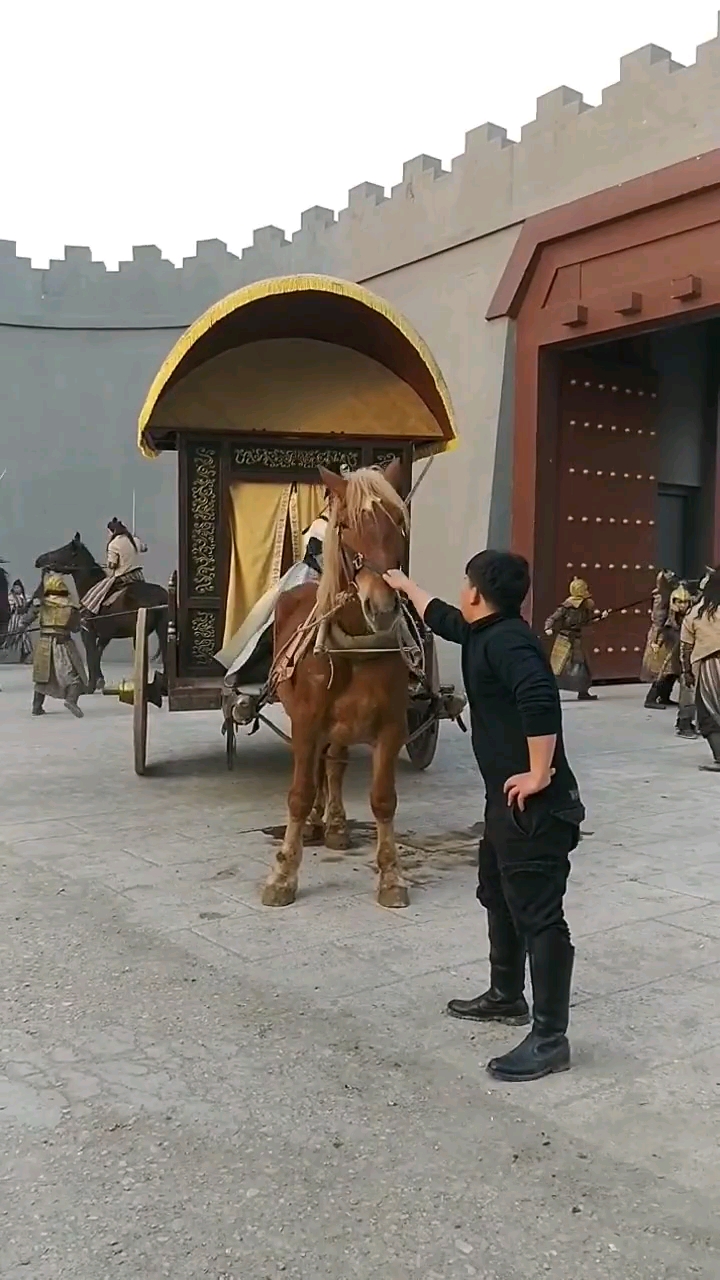 电视剧里跑的贼溜的马车你来看看现场版的