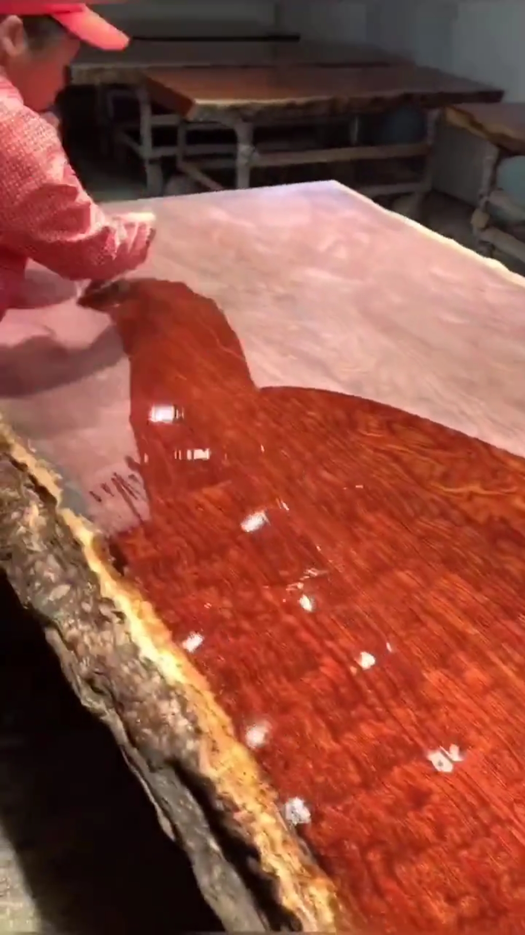 世界上最硬的木头,打眼都打不动.