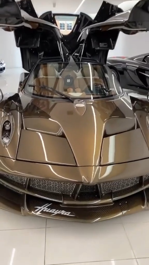 最帅不过鸥翼门帕加尼