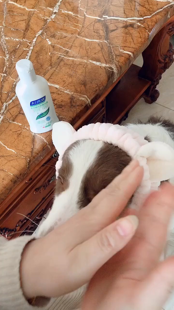 睡前擦香香会变飘亮,护肤是每个精至女孩必做的!