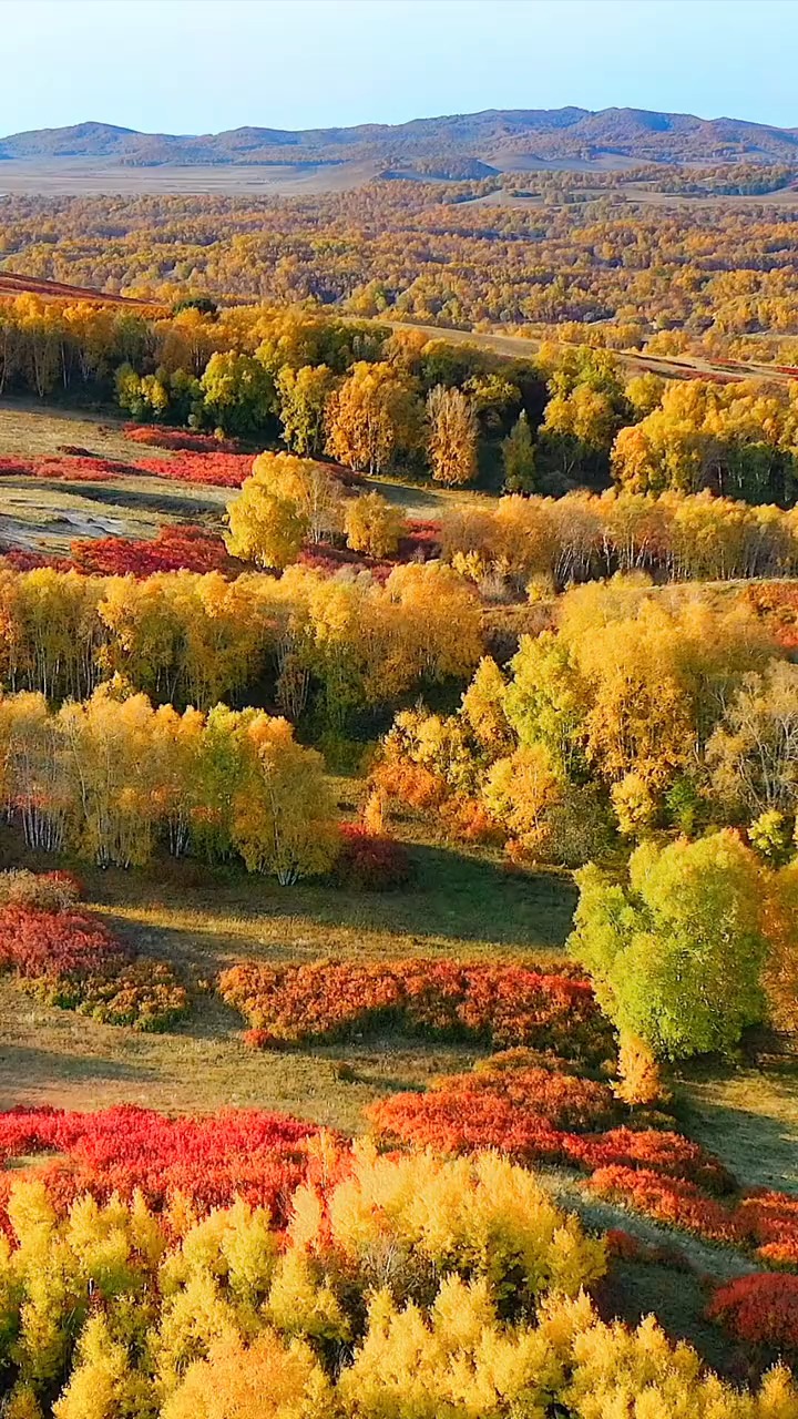 秋天的照片 大自然图片