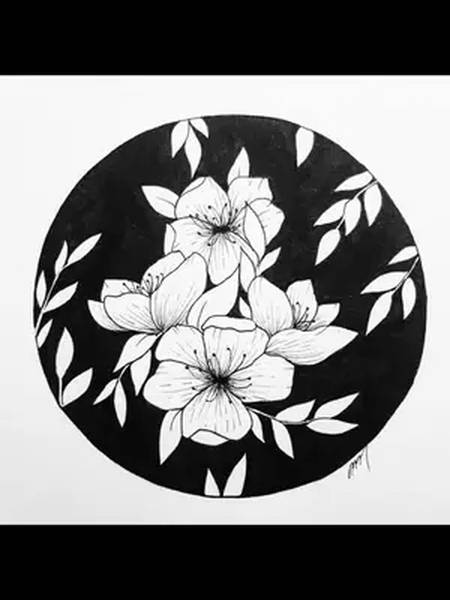 黑白装饰画植物花卉插画inslovelittlenikk创意儿童画分享