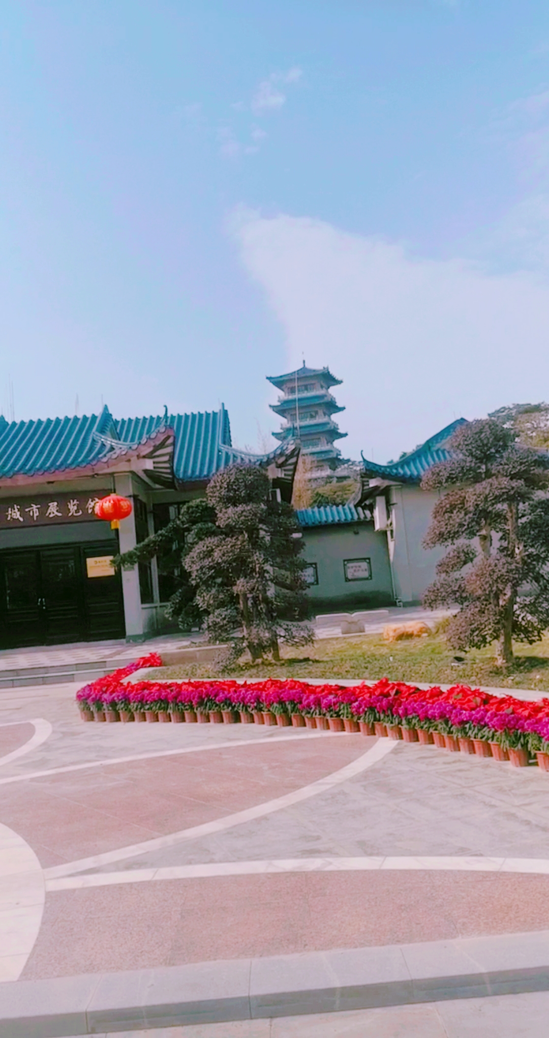 隔离病毒不隔离爱#园龙山公园风景祝您开心快乐 共度难关