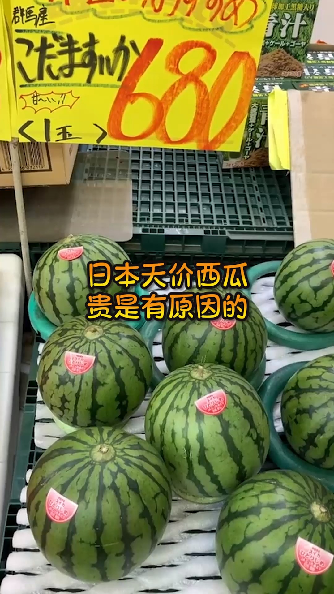 奇趣#日本的天价西瓜,卖得这么贵不是没有原因的