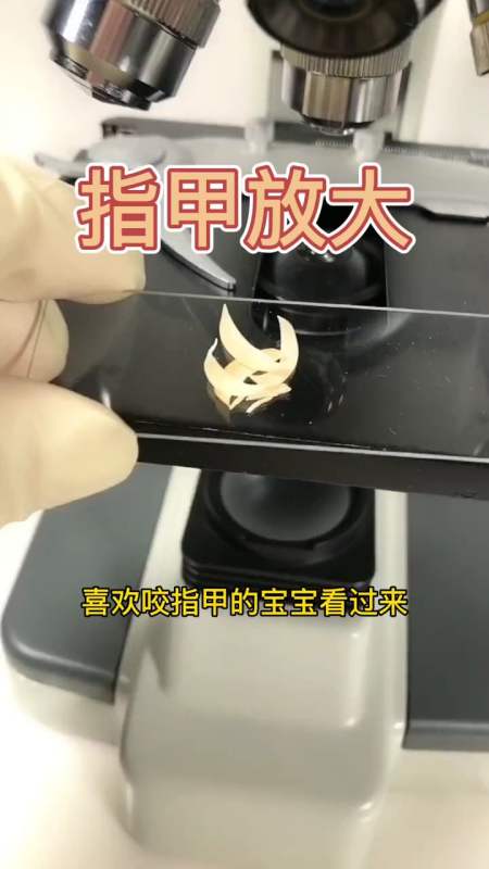 显微镜世界#指甲放大喜欢咬指甲的看过来