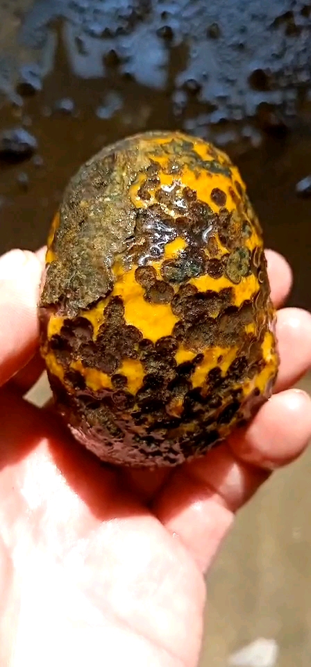 鸡油黄玛瑙原石