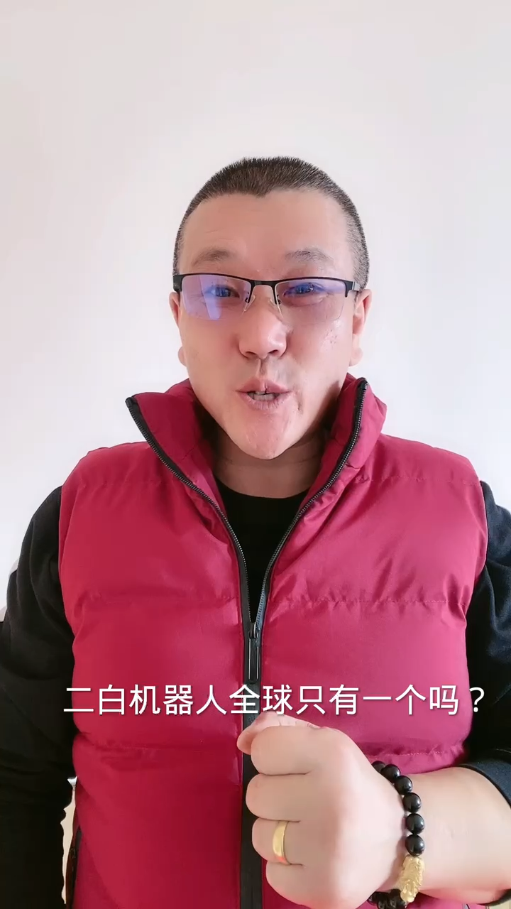 二白机器人全球只有一个吗?