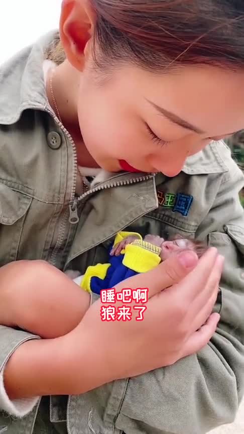 美女饲养员哄小猴子睡觉,一脸温柔的样子,小猴子肯定睡得特别香