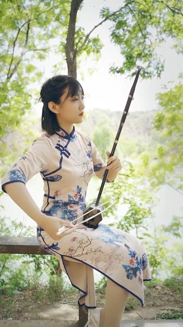 古典中国风#国风古韵民乐艺术欣赏,二胡独奏《雨碎江南》,传承弘扬