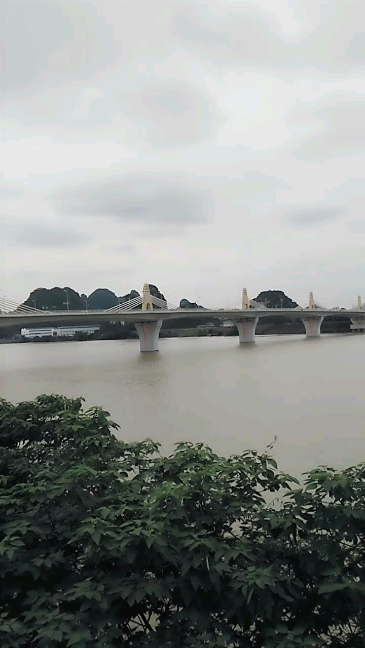 柳州静兰大桥