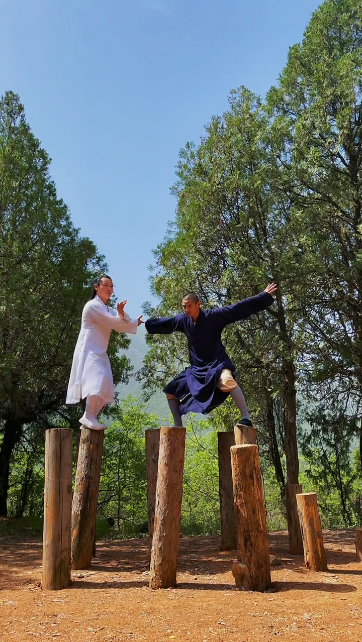 少林功夫#武当少林木人桩比拼,卧似一张弓,站似一棵松,不动不摇坐如