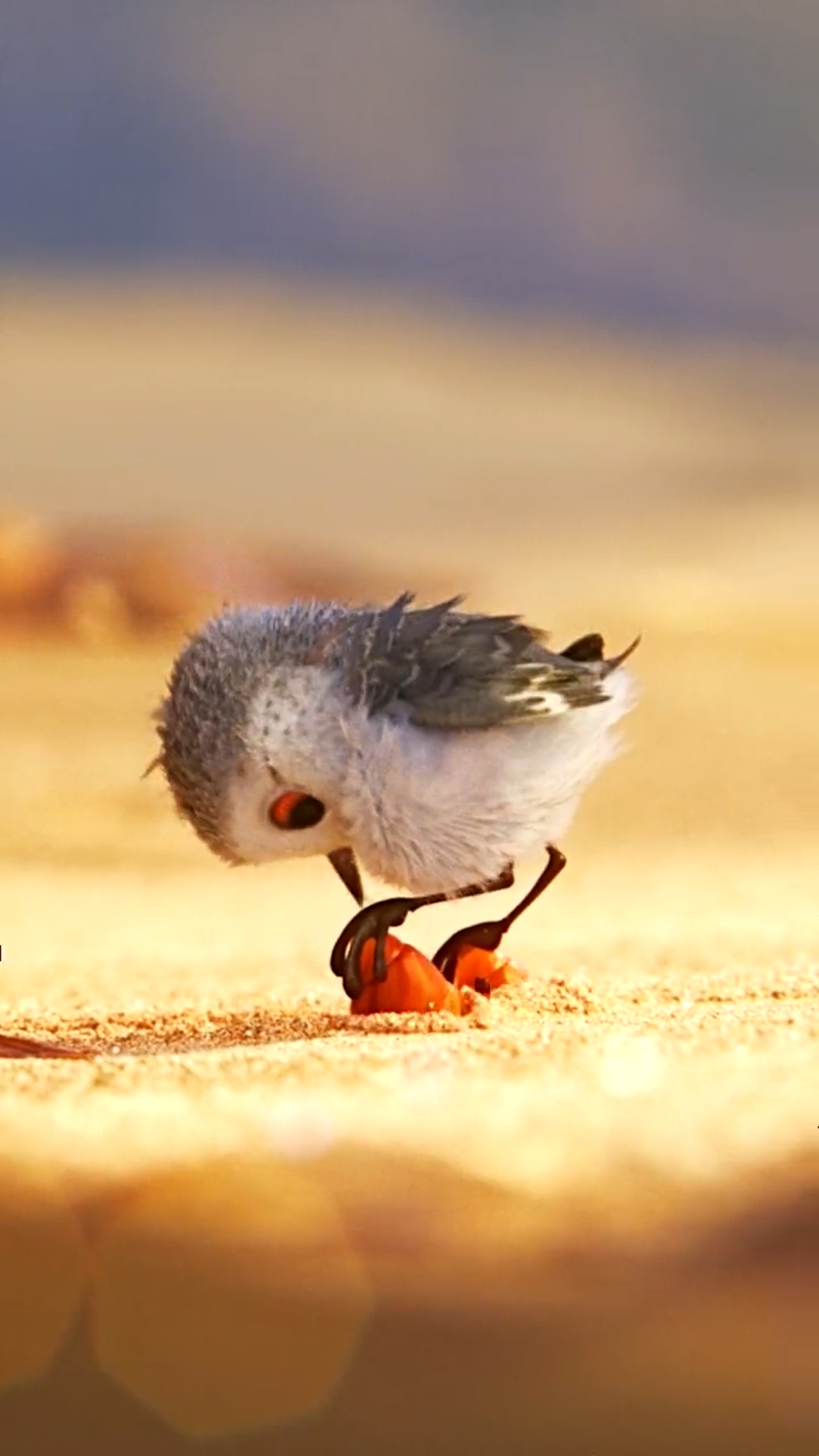 电影短片名字是鹬,可以去看一下,讲的都特别真实-度小视