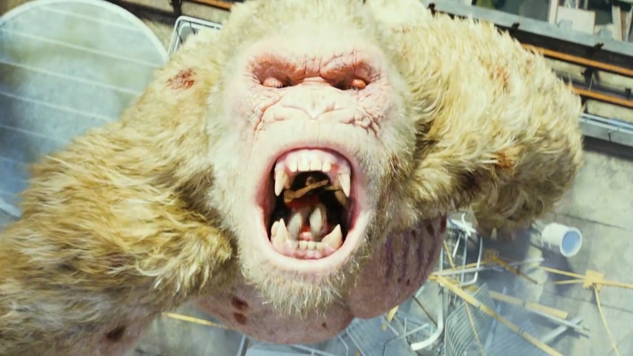 精彩影视#来看看这个白毛的大猩猩