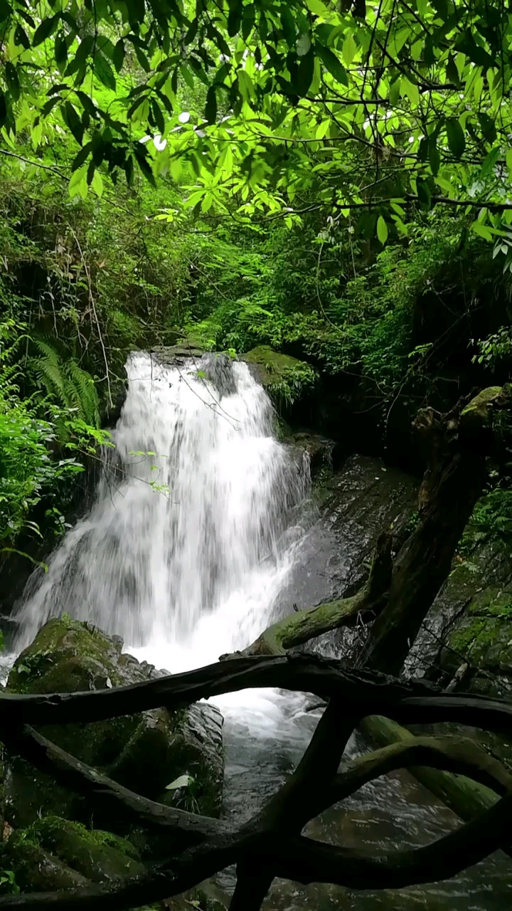 兰山公园瀑布图片