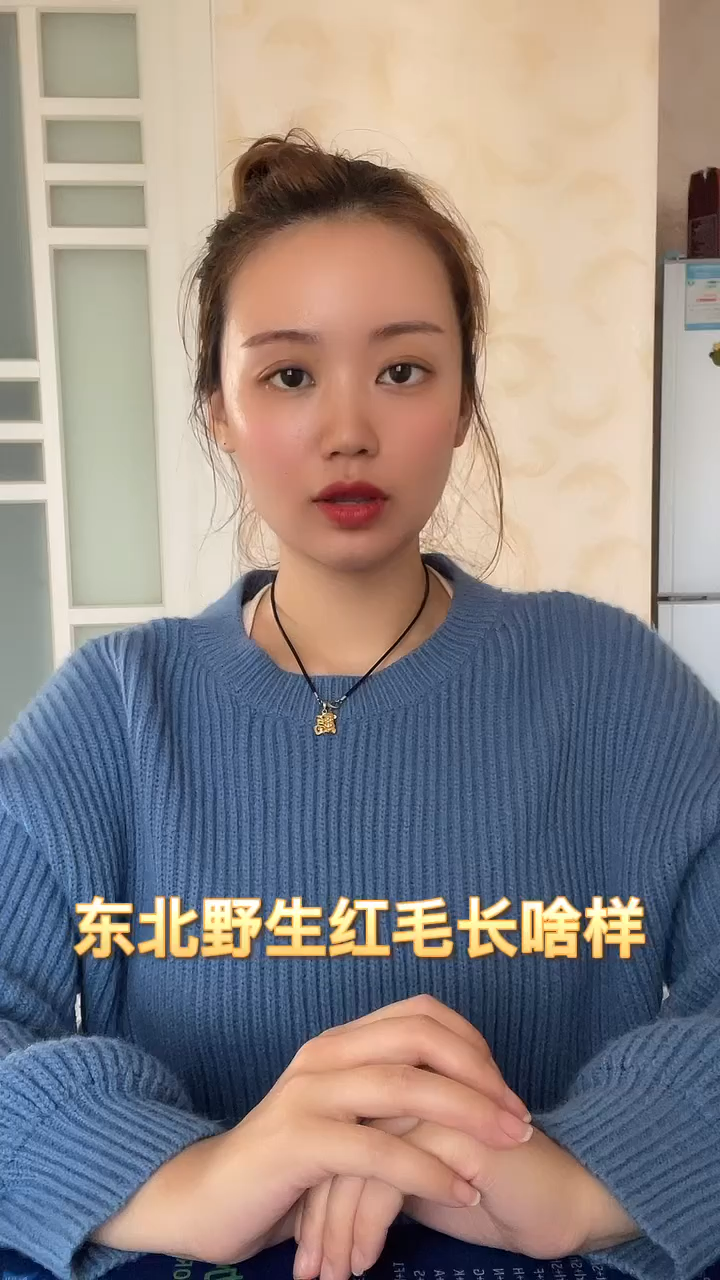 东北野生红毛长啥样