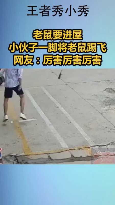 老鼠要进屋,小伙子一脚将老鼠踢飞!网友:厉害厉害厉害