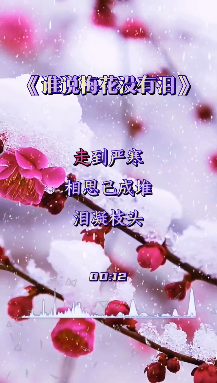 曾经喜欢的音乐