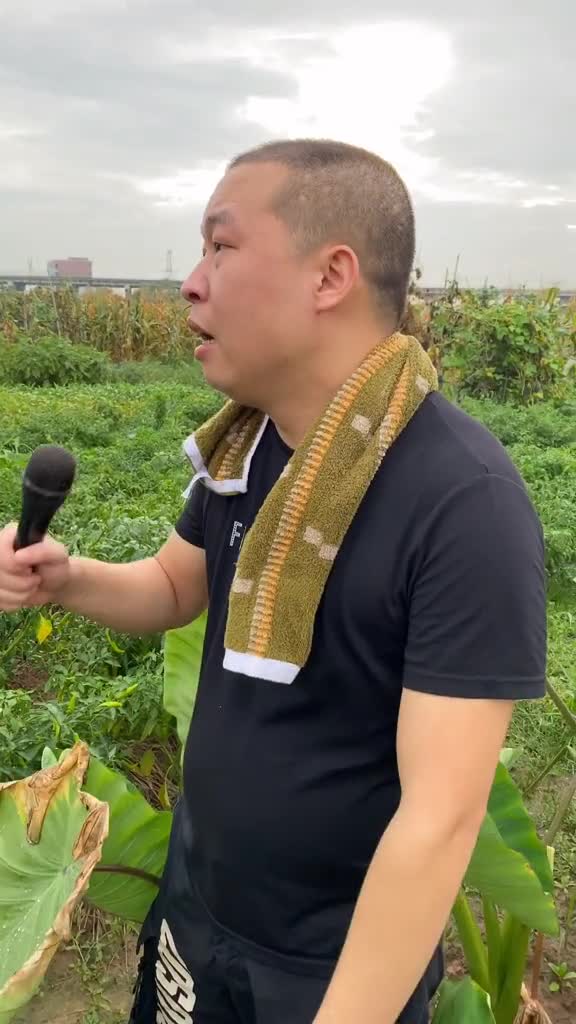 愿望下半年风和日丽机智编歌北郊改编百变小飞九澧阳哥作词-度小视