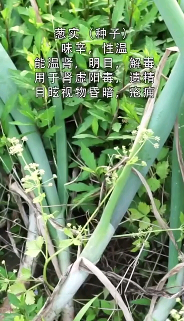 分享视频