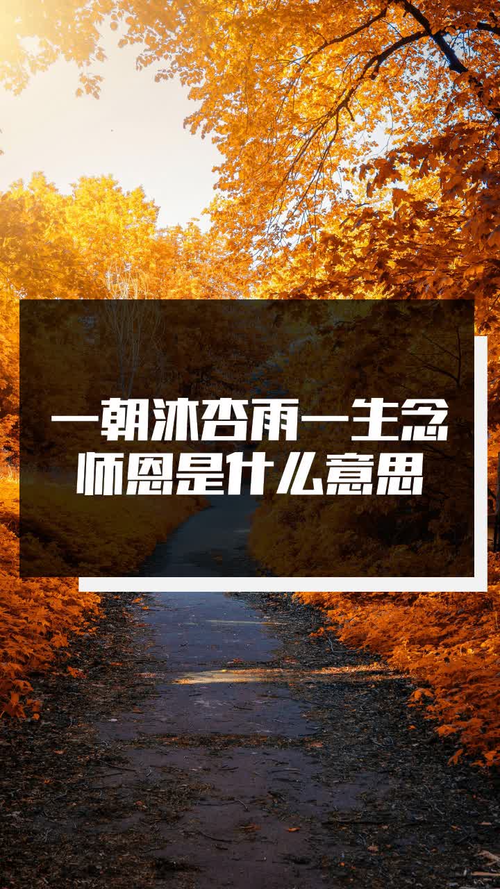 一朝沐杏雨一生念师恩是什么意思