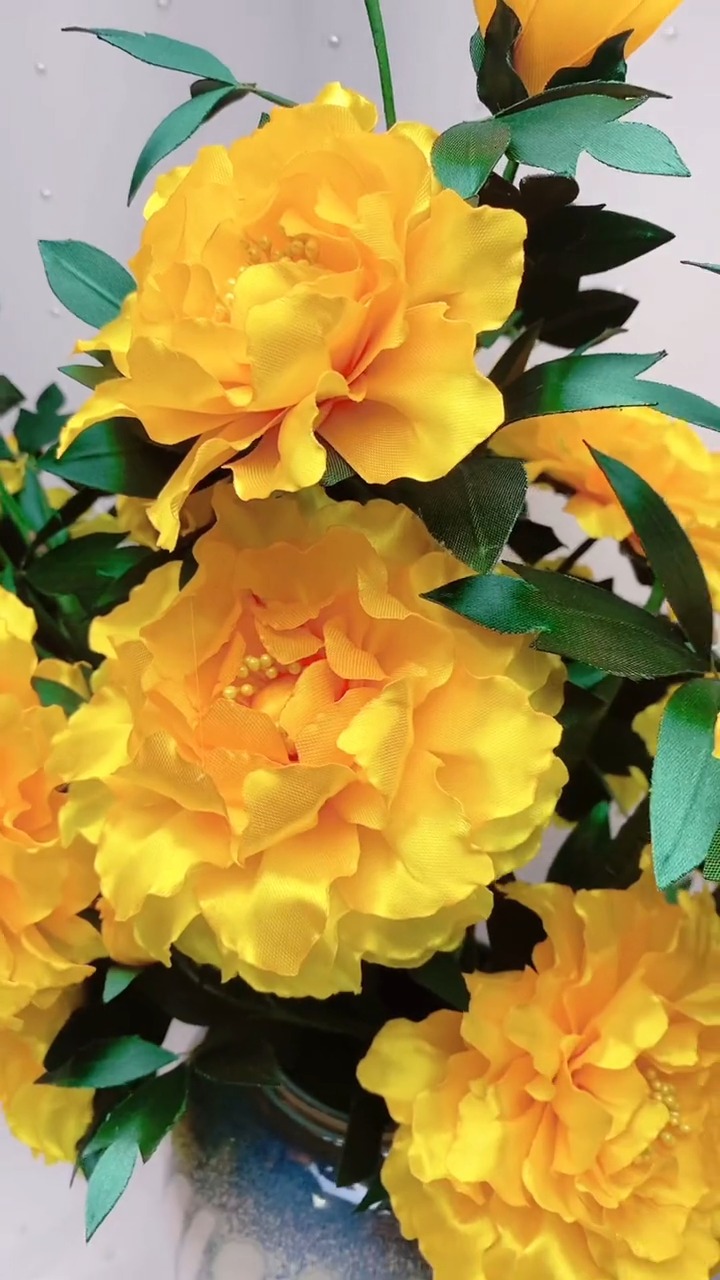 告诉你们一个小秘密,渐变色牡丹更美丽,你学会了吗?