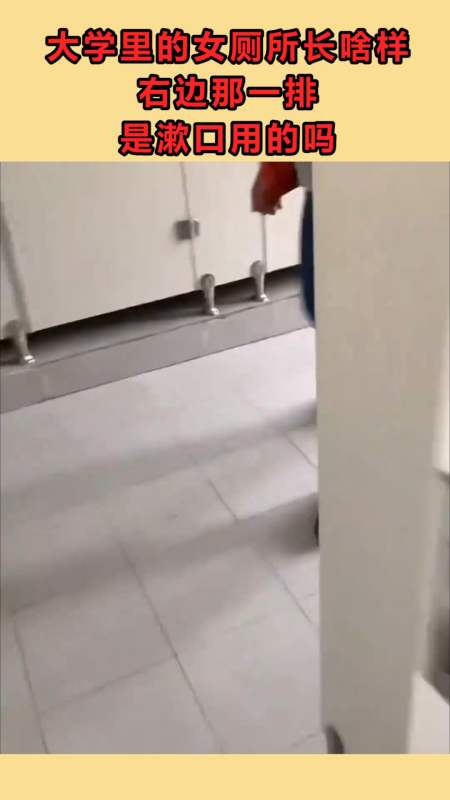 大学里的女厕所长啥样,右边那一排是漱口用的吗,我不止一次的以为自己