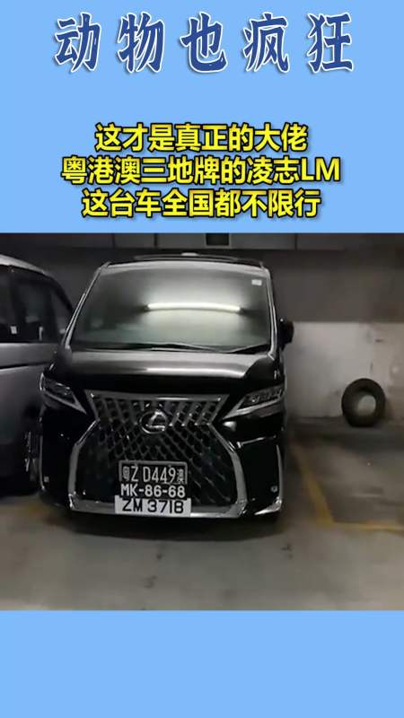 我要上热门#这才是真正的大佬,粤港澳三地牌的凌志lm,这台车全国都不