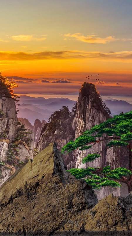 最美的风景#只有亲身登临,才理解登黄山天下无山,才知道黄山美景不虚