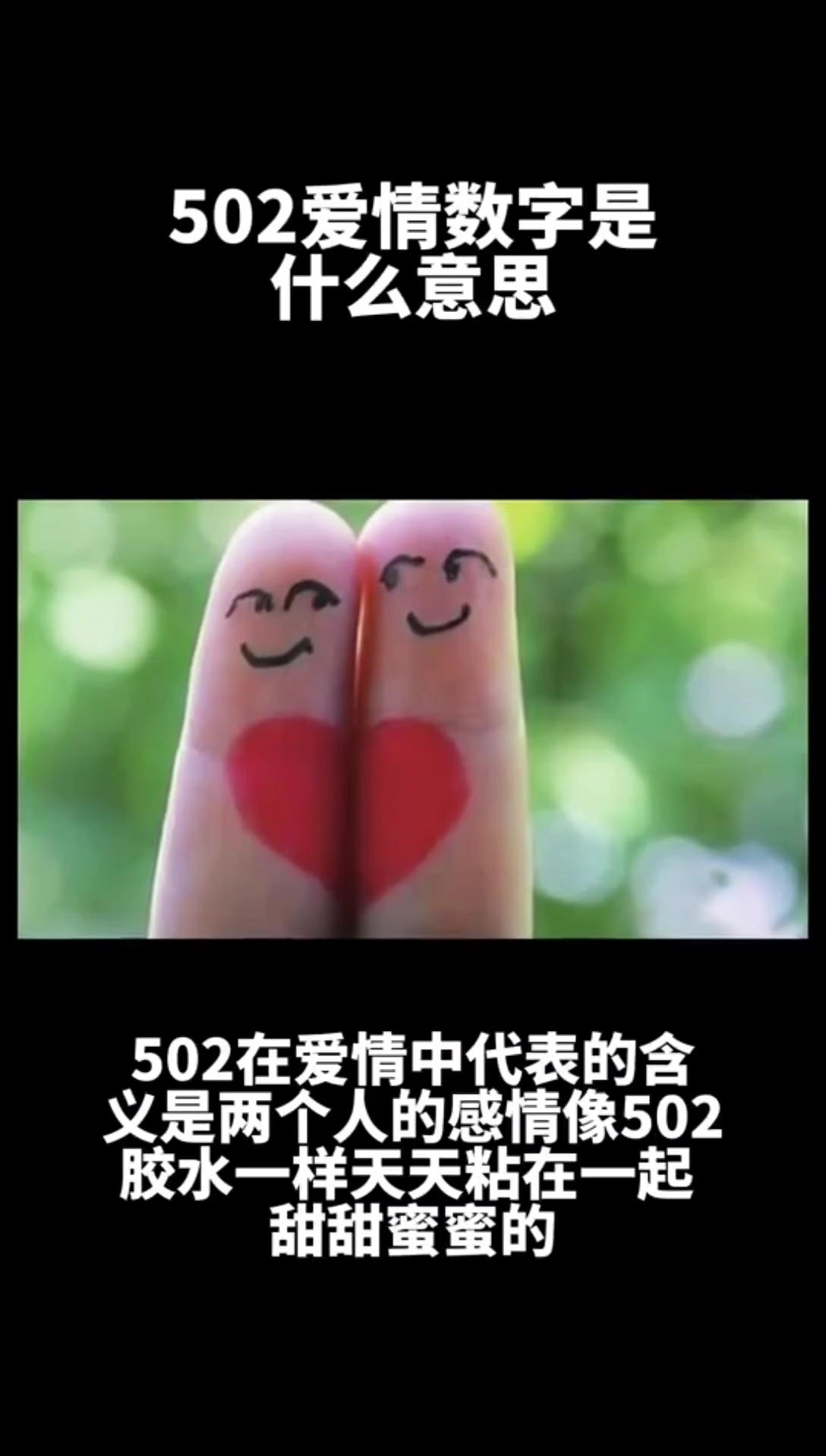 502爱情数字是什么意思?