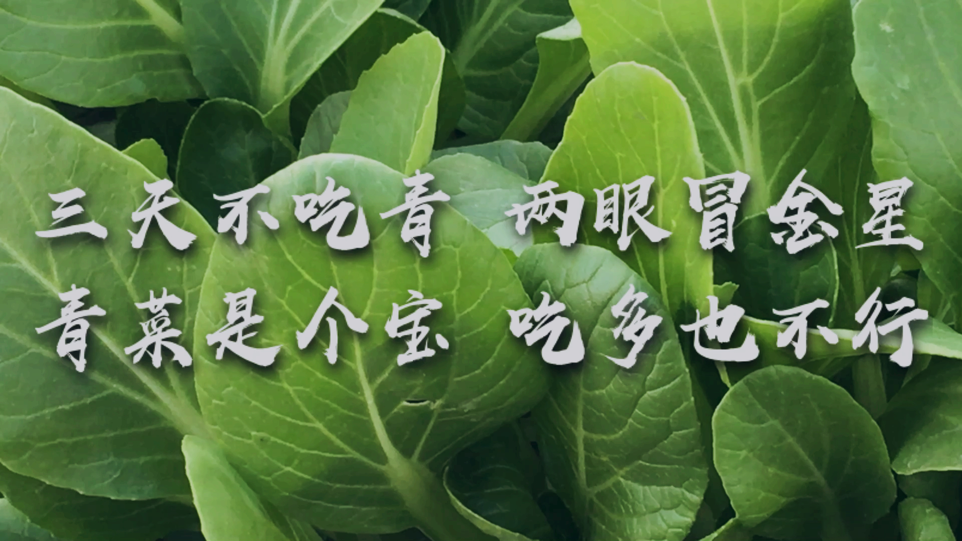 生活小妙招#三天不吃青 两眼冒金星 青菜是个宝 吃多也不好