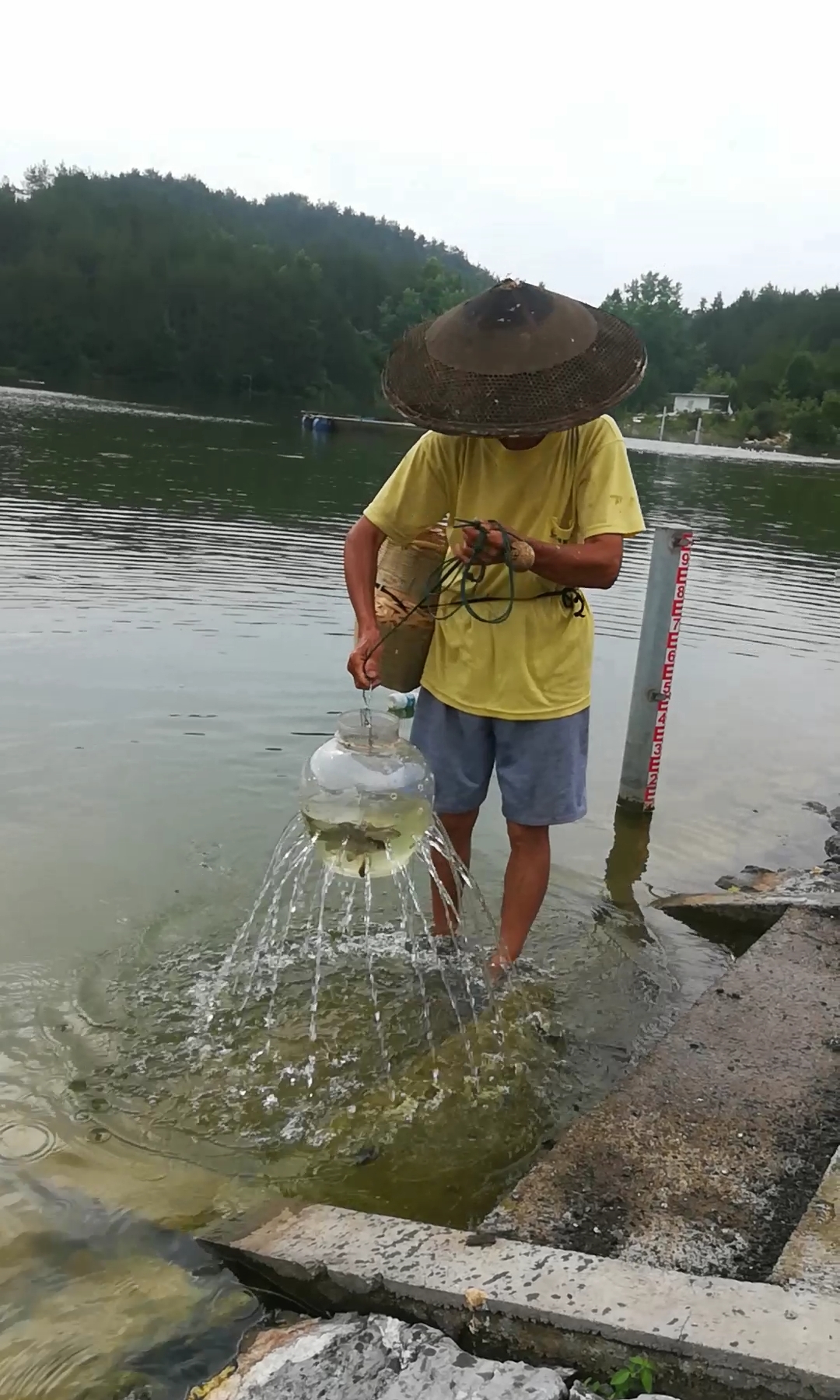 户外抓鱼#仔细看,抓到了好多鱼!