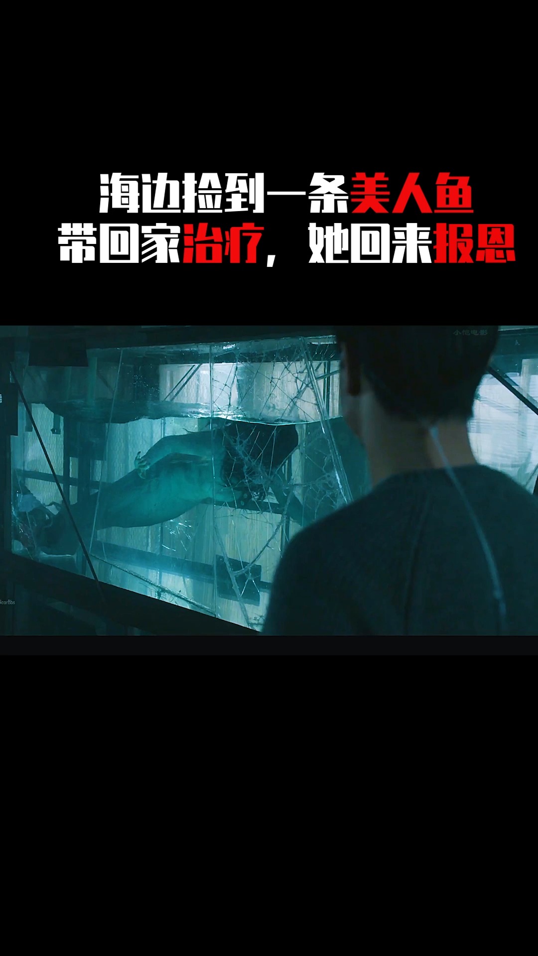 我要上热门片名怪物乐园