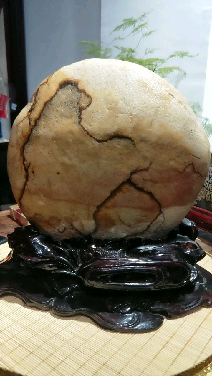 带上全民去旅行#长江碳化石《熊罴之士》