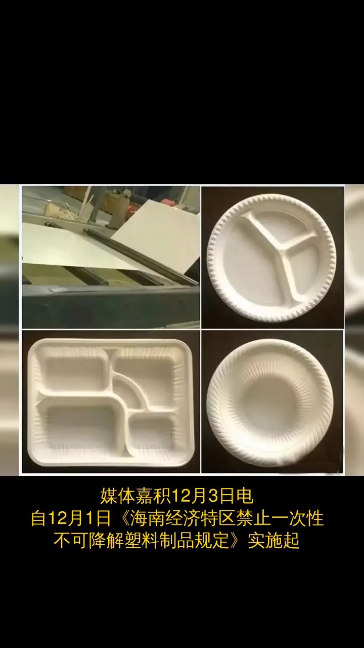 海南禁塑后塑料包装用啥替代快来看看全生物降解环保袋外卖餐盒长啥样