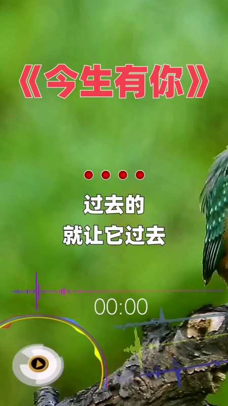 龙梅子今生有你人生就像一出戏生活再多坎坷今生遇到你一切变的美好