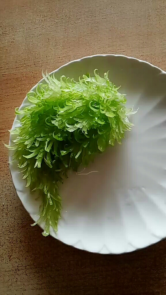 凤尾西芹简单好学