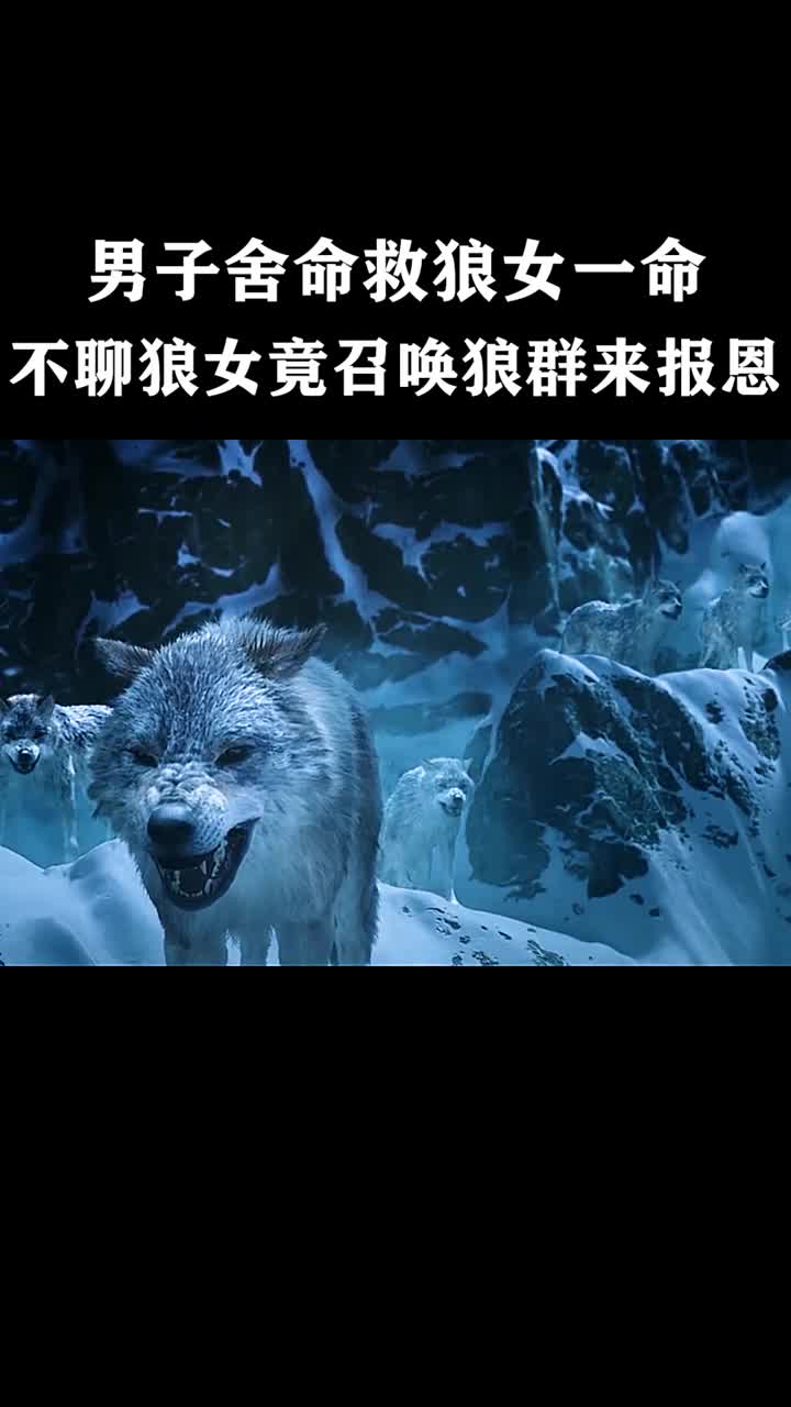 狼若回头,不是报仇便是报恩