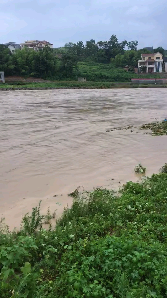 家乡发大水了