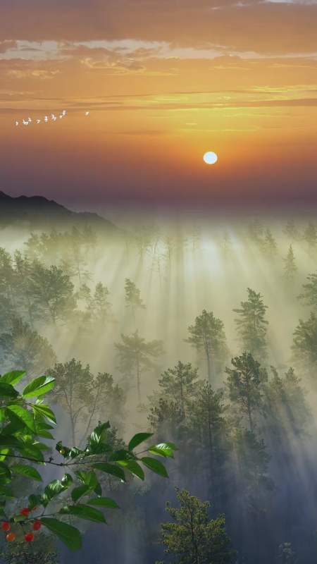 不完美又何妨,万物皆有裂痕,那是光照进来的地方,风景,治愈,日出