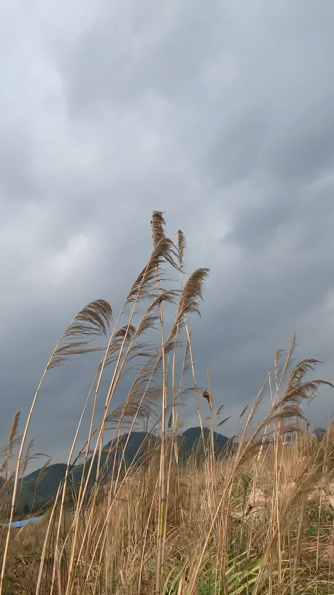进来听听风吹的声音吧