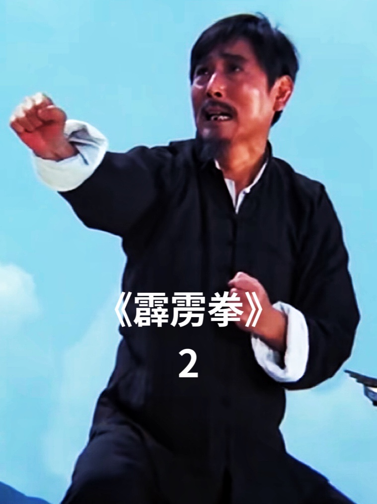 《霹雳拳》小伙右臂被废凭借祖传拳谱,成为江湖高手2